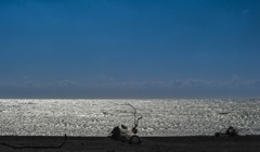 冬の海