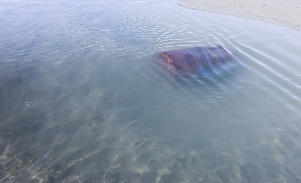 水温む