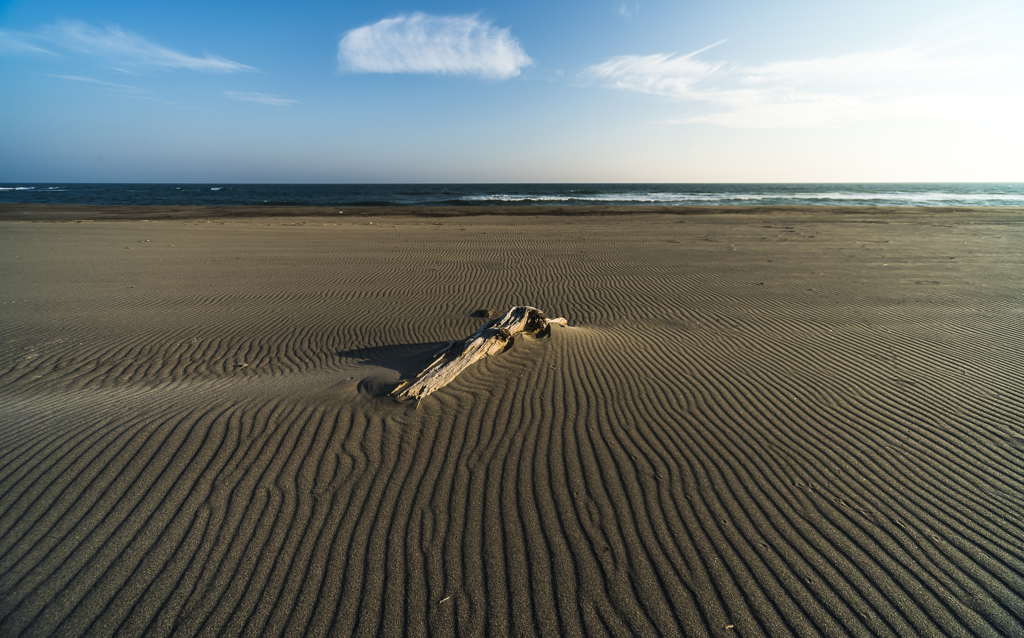 砂浜の日常