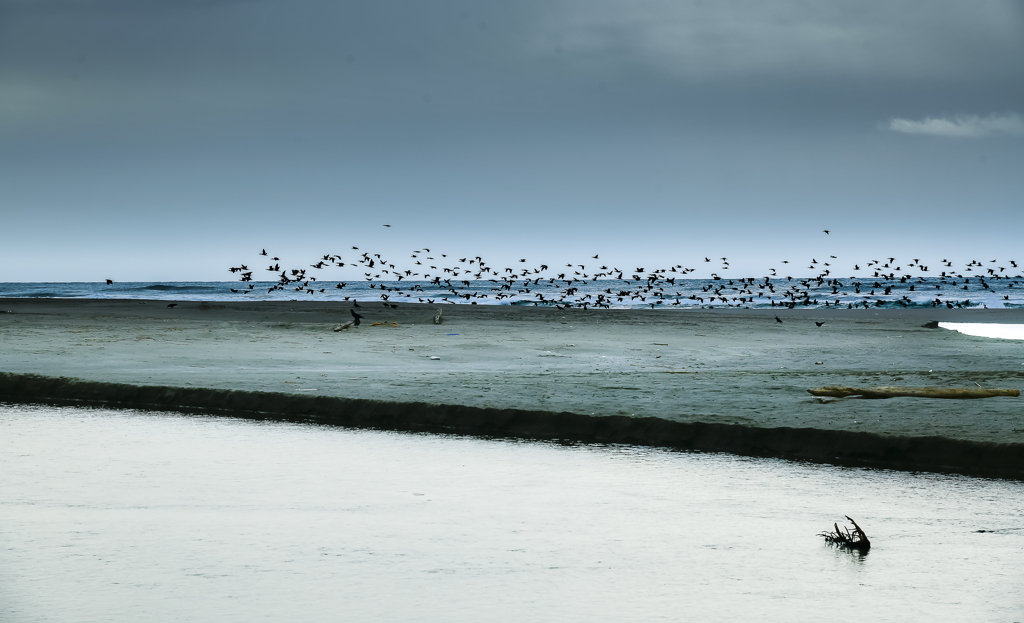 雨上がりの雲　４
