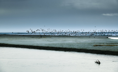 雨上がりの雲　４
