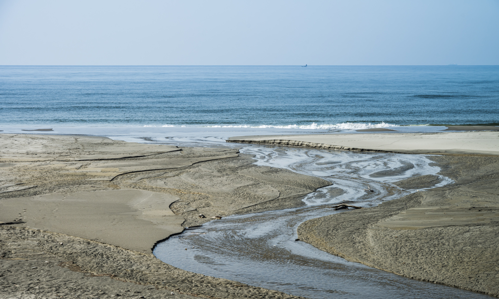 春の海へ