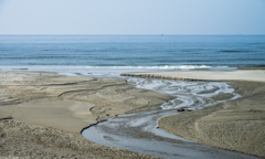 春の海へ