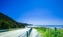 サーファーの夏　３