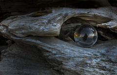 水晶玉の眼の流木　１