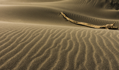 砂と風