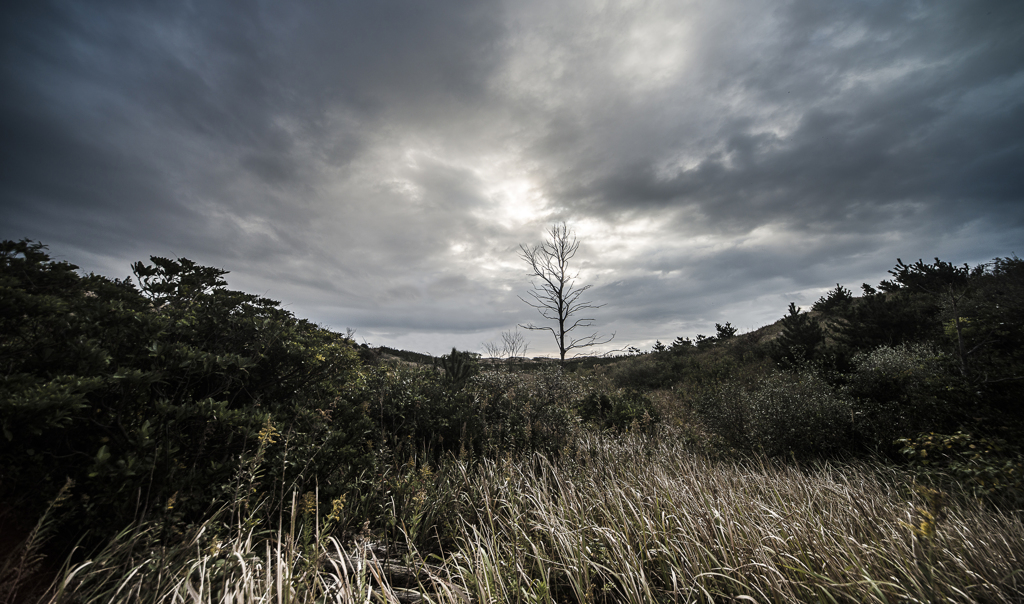曇り空の朝　２