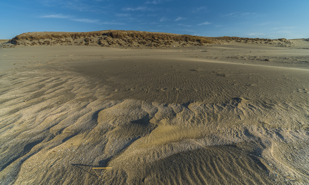 Desert