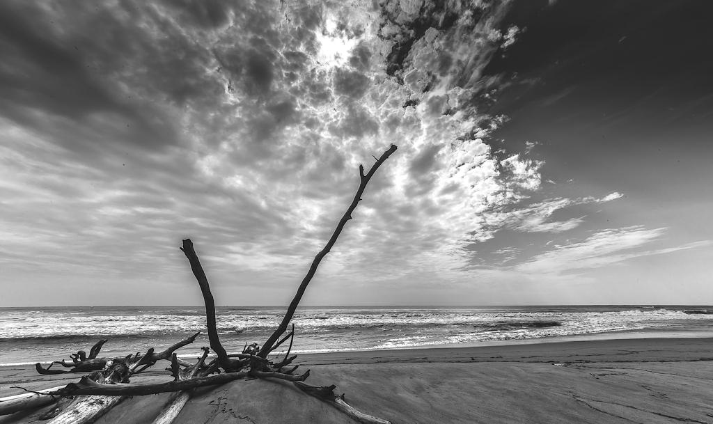  台風が残した物　２