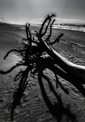 嵐の名残り 嵐の名残り