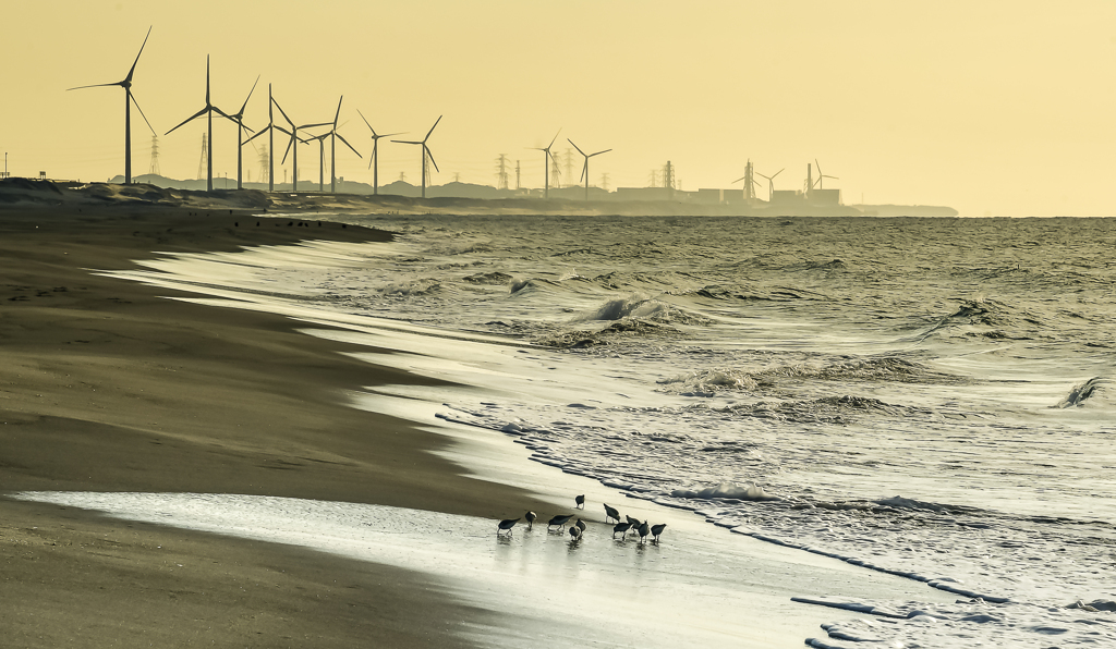 荒波にも目下づ