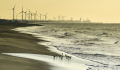 荒波にも目下づ