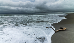 梅雨空の海　３