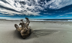 Autumn beach