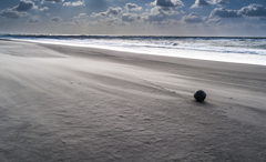 吹き抜ける西風