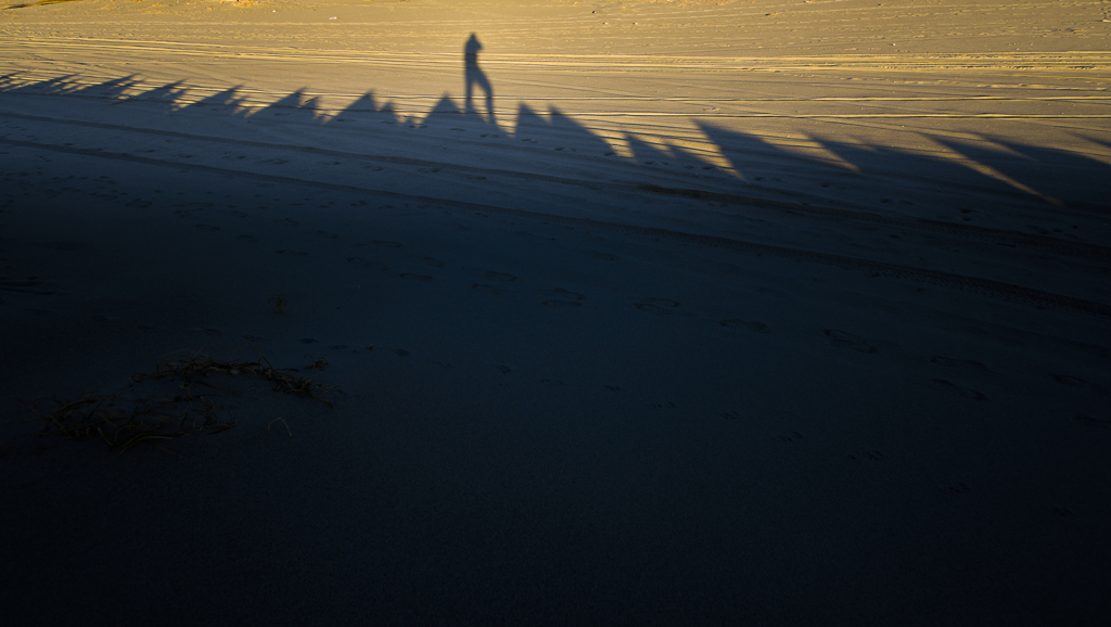 トゲトゲ山から