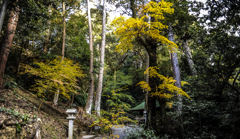 遠州三山　１−３