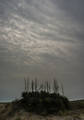 梅雨空