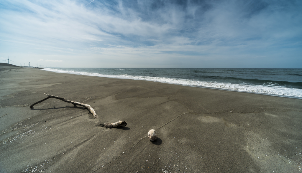 サッカーボールと流木
