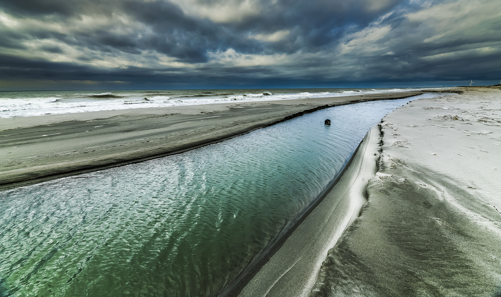 海へ