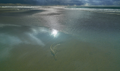 Water mirror