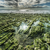 岩海苔の海岸