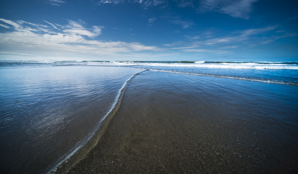 wave ?