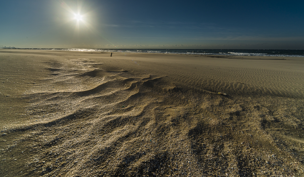 Desert 2