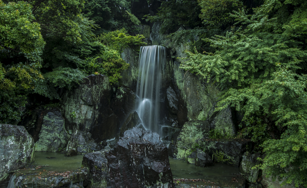 雨の中の滝