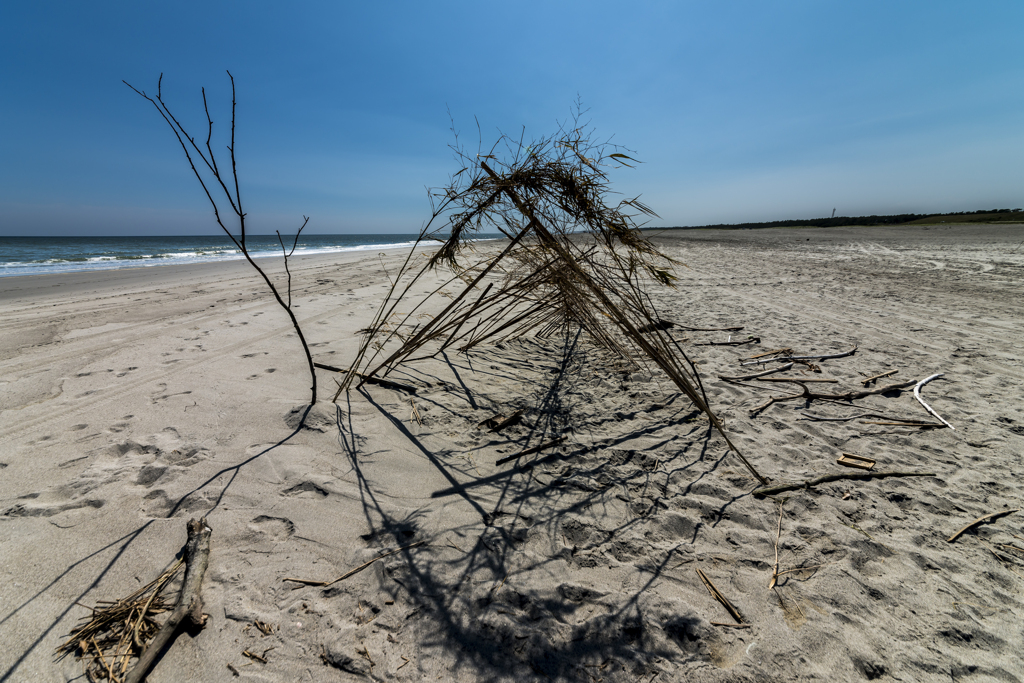 子供たちが作った秘密基地