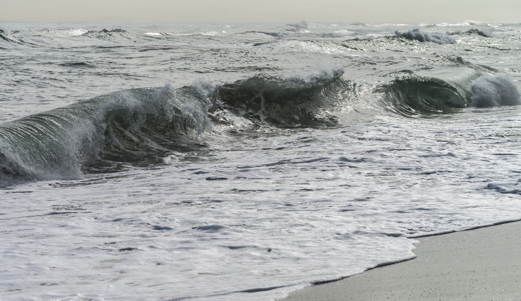 波打ち際の春　１