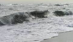 波打ち際の春　１