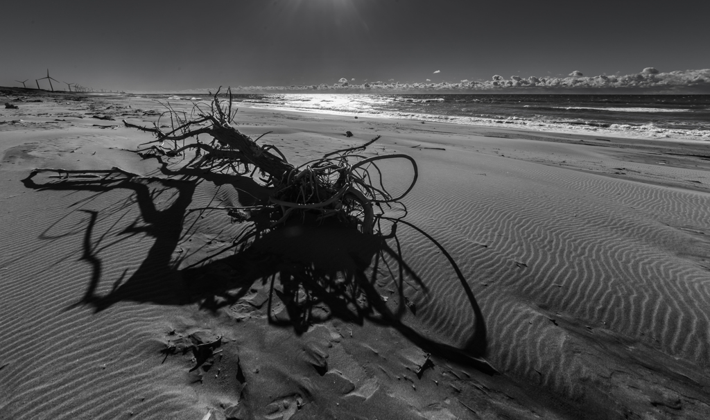 影がつくるカタチ