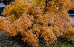 　遠州三山　1−２