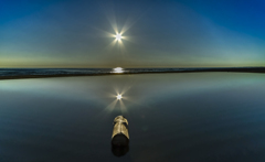 二つの太陽と流木