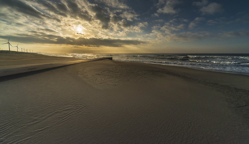 朝陽を浴びる海