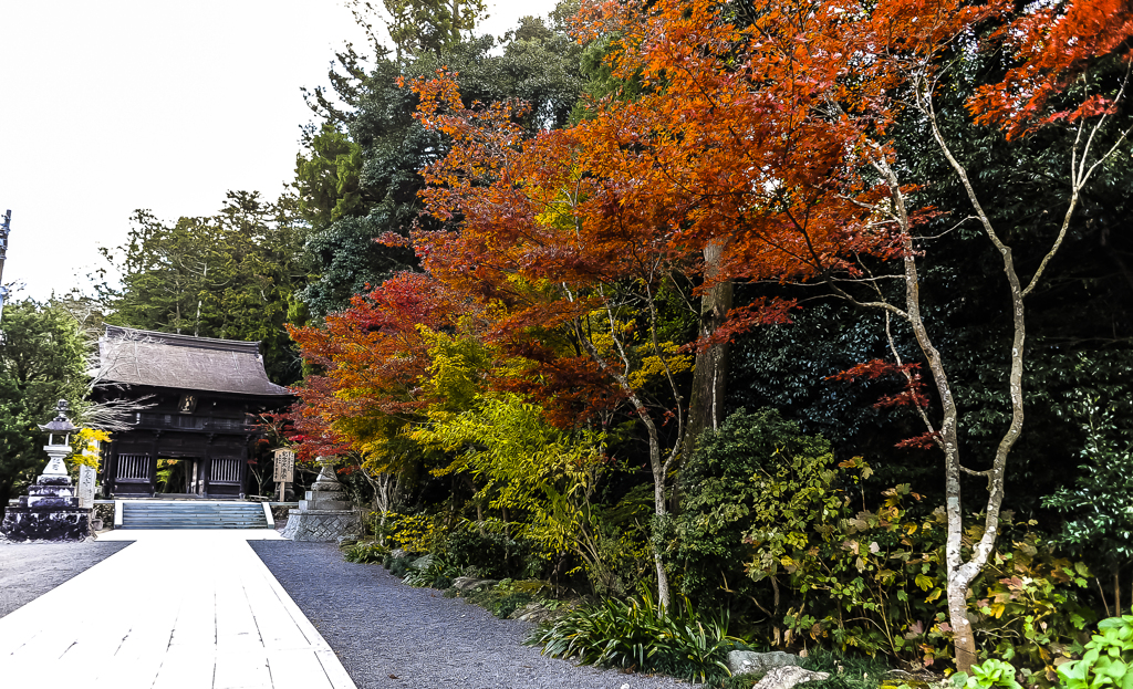 遠州三山　１−１