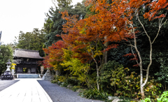 遠州三山　１−１