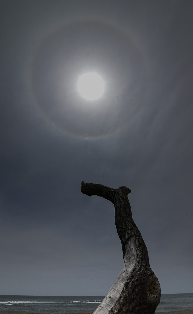 日暈 2