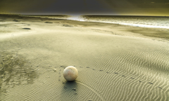 風に吹かれて転がる