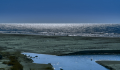 穏やかな1日　１