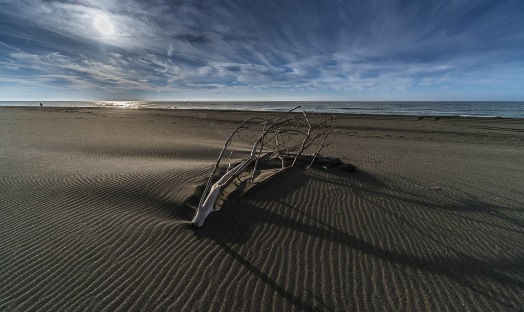 Wind ripple