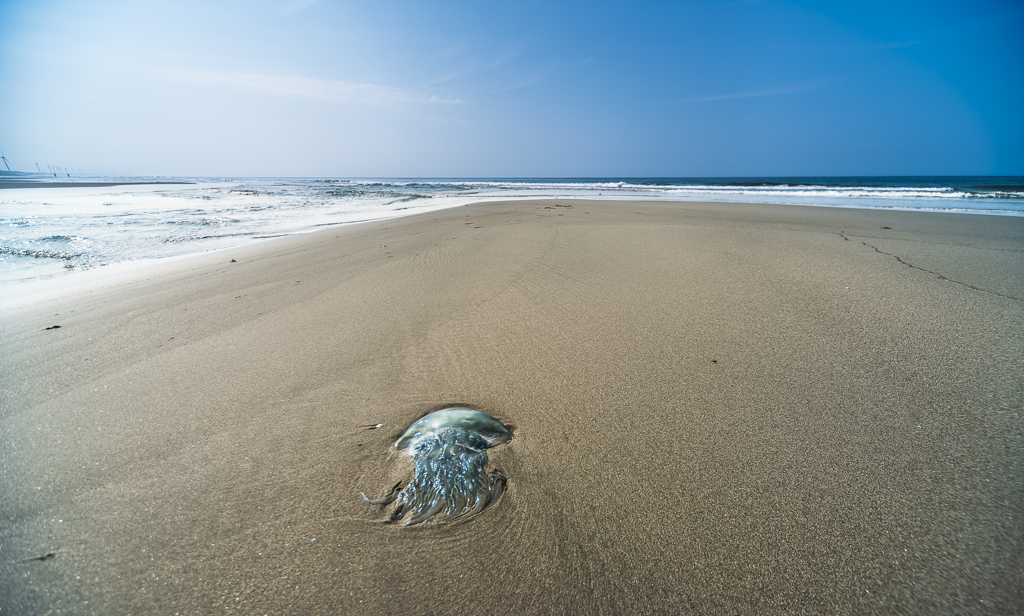 暑い砂浜に