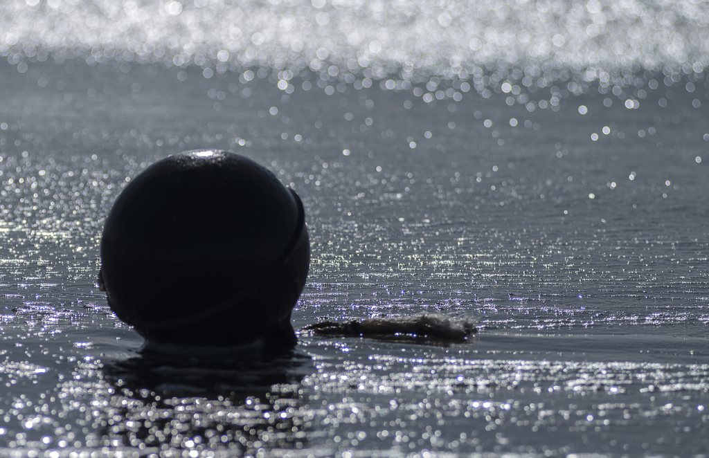 bubble