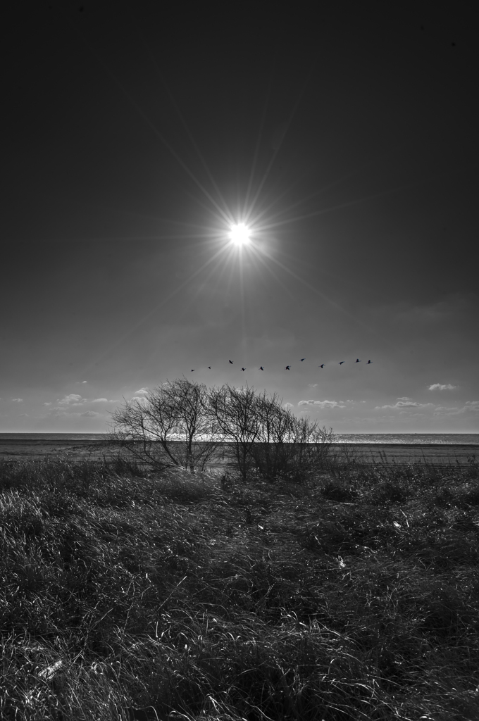 Winter sky