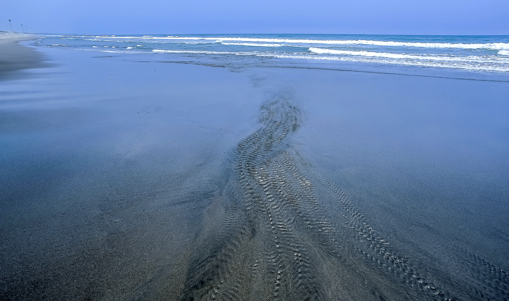 海との出会い
