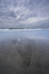 海の面