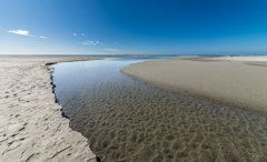 砂浜を流れる川