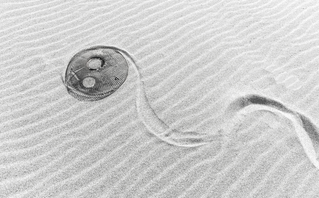 風と光と影と　２