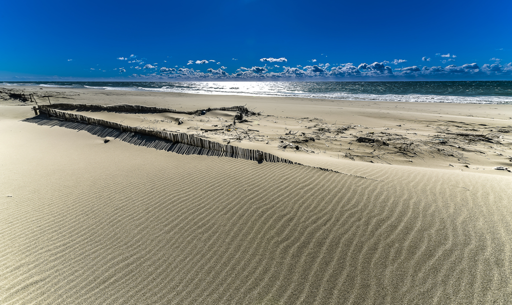 荒れた砂浜の風紋